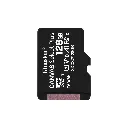 Lizard Tech Panama (90).webp