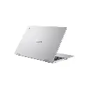 Lizard Tech Panama (95).webp