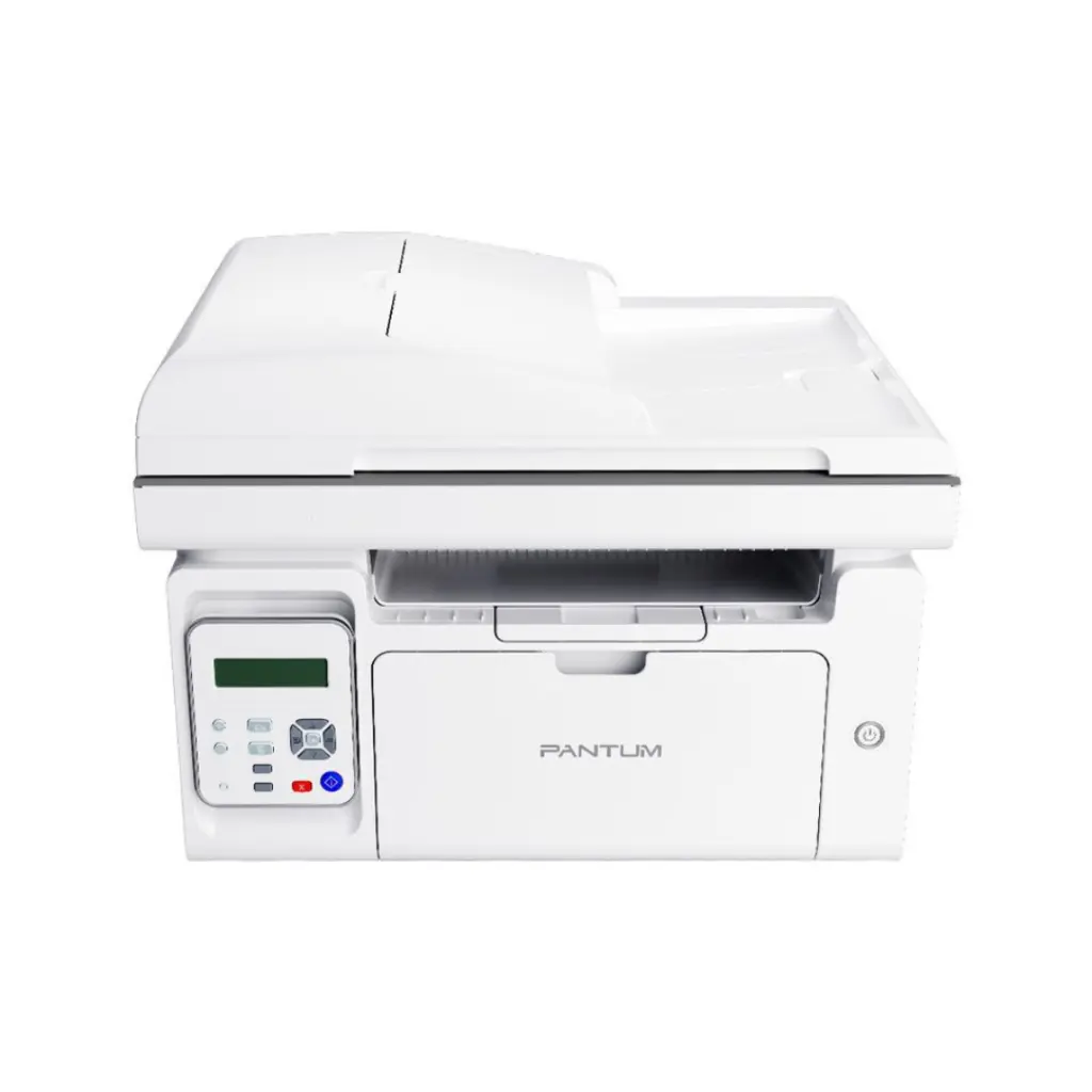 Lizard Tech Panama - 2025-06-08T232433.624.webp