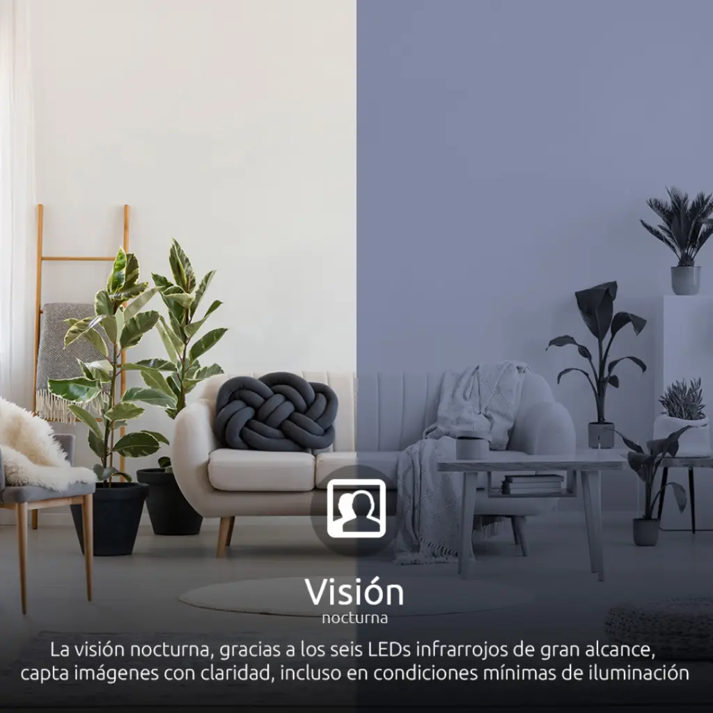 Lizard Tech Panama - 2025-07-01T224930.774.webp