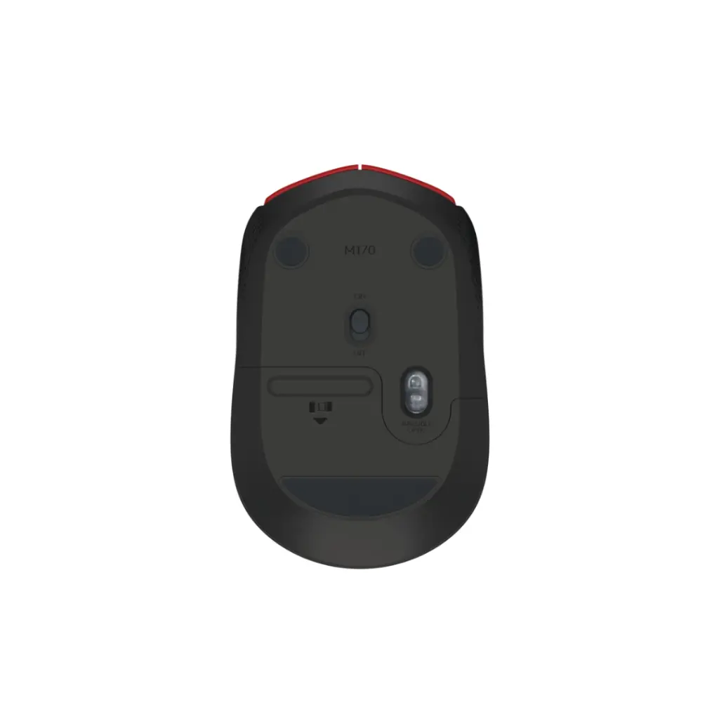 Lizard Tech Panama - 2025-07-04T204851.781.webp
