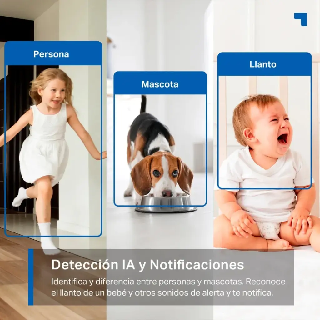 Lizard Tech Panama - 2025-07-04T212120.797.webp
